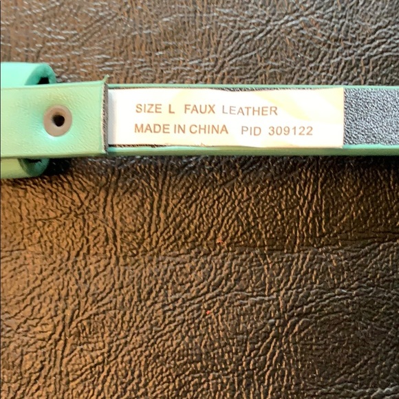 EUC Turquoise Skinny Belt - Picture 3 of 3